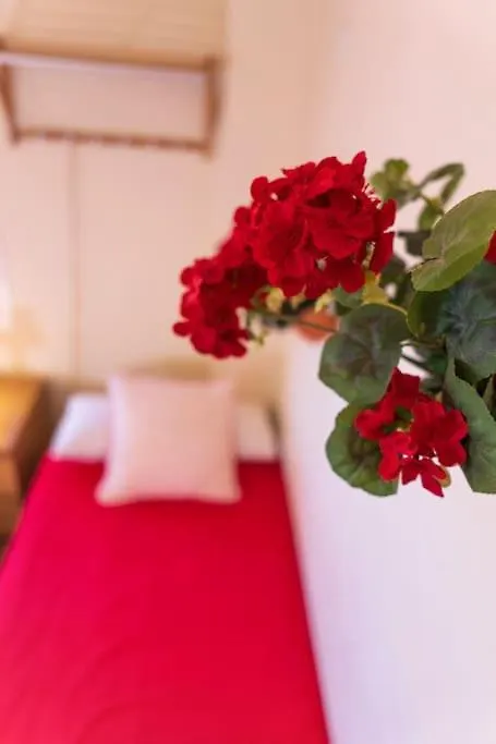 3 Bedrooms City Center And Beach Μάλαγα